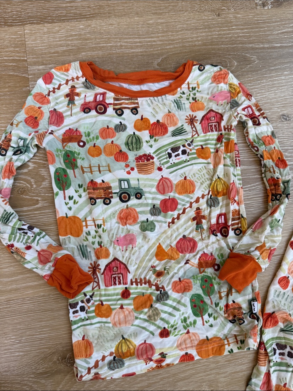 Little Sleepies Pumpkin Patch Pajamas Size 4T - Picture 2 of 4